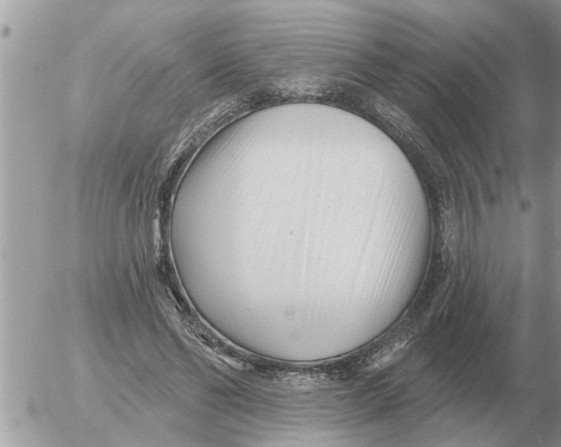 X0000054440494200508270016