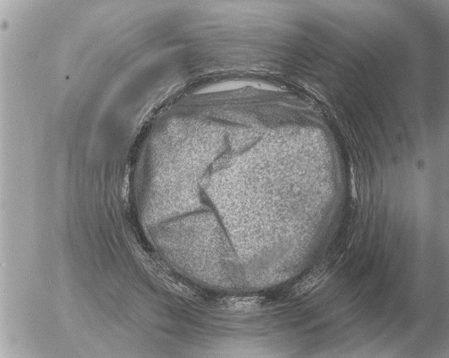 X0000054440495200508270016