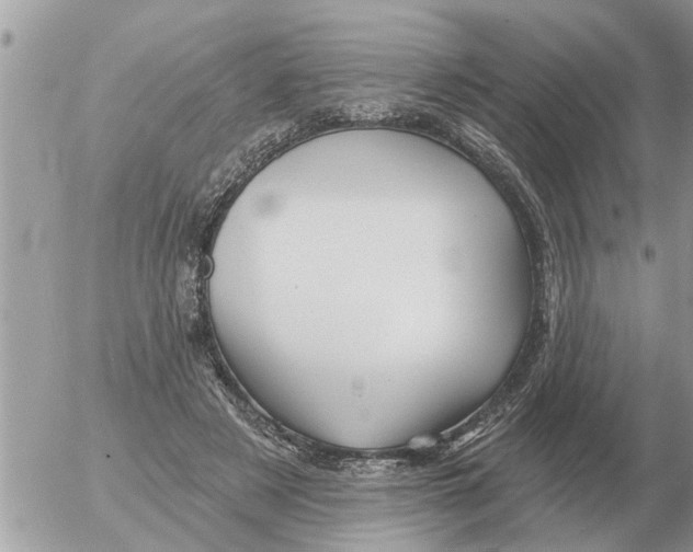 X0000054440497200508270016