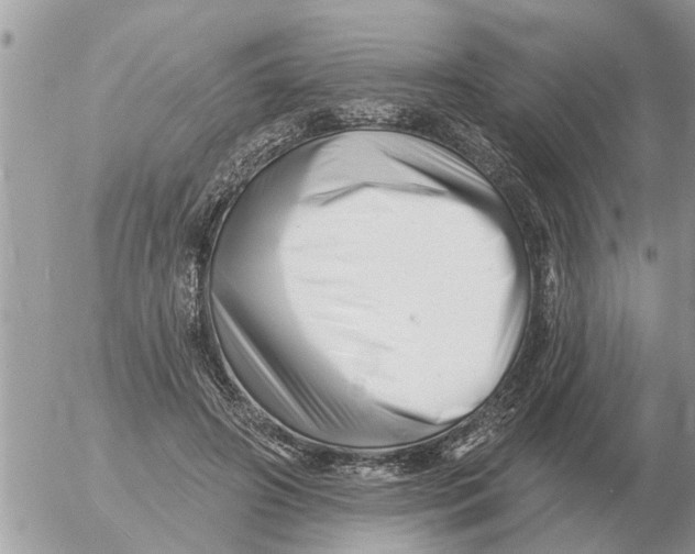 X0000054440498200508270016