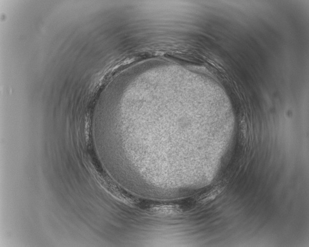 X0000054440499200508270016