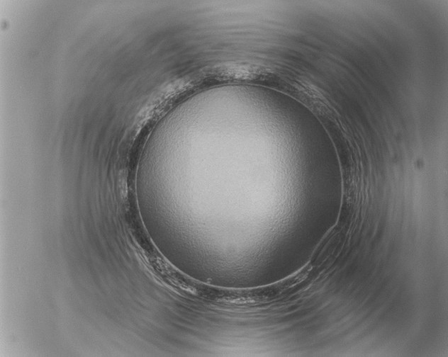 X0000054440500200508270016