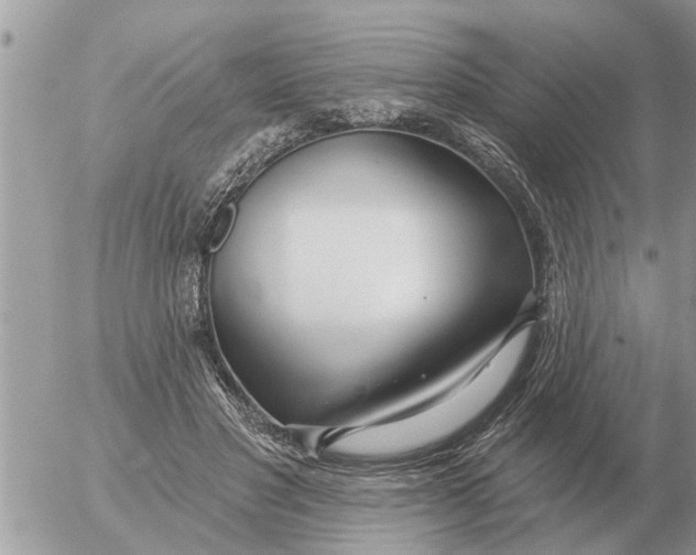 X0000054440501200508270016