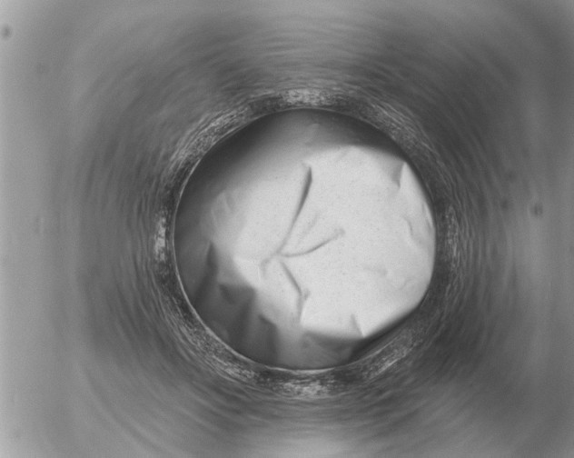 X0000054440502200508270016