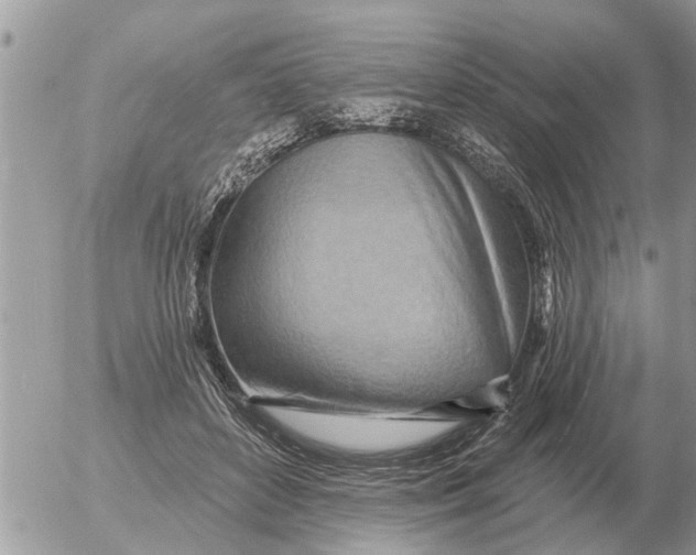 X0000054440504200508270016