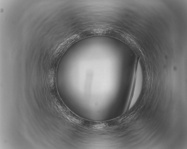 X0000054440505200508270016