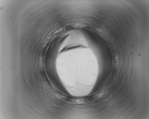 X0000054440506200508270016