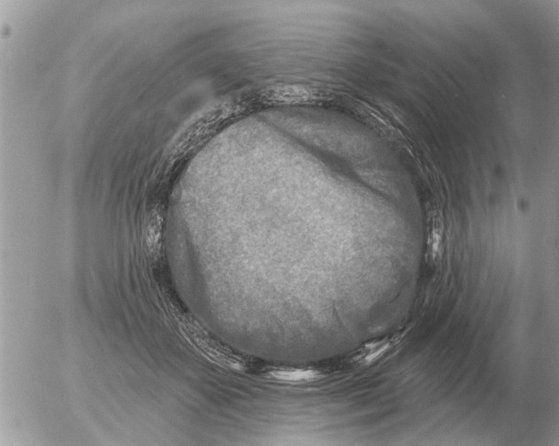 X0000054440507200508270016