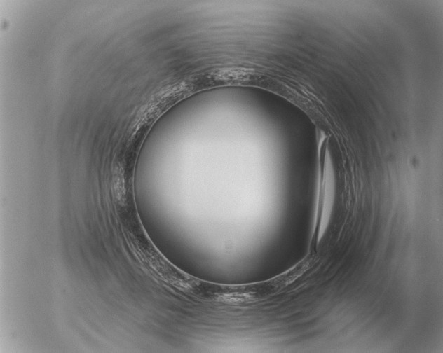 X0000054440508200508270016