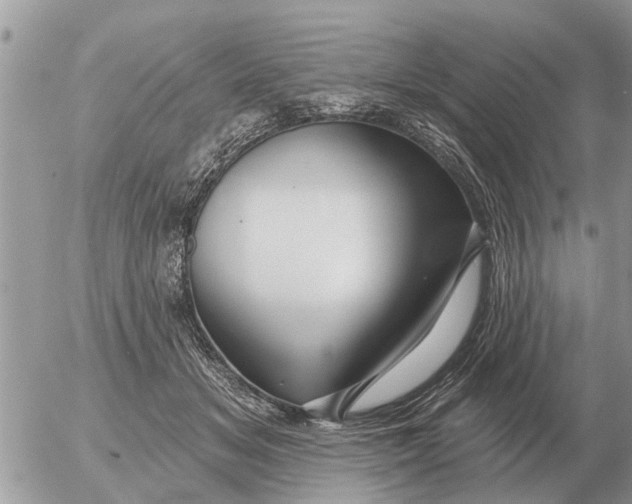 X0000054440509200508270016