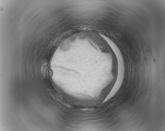 X0000054440511200508270016