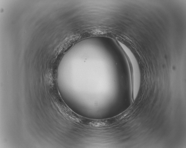 X0000054440512200508270016