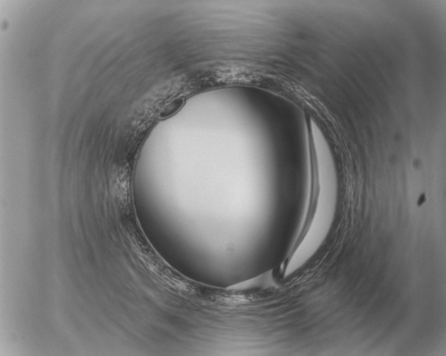 X0000054440513200508270016