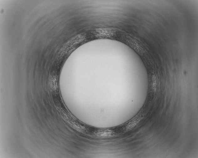 X0000054440514200508270016