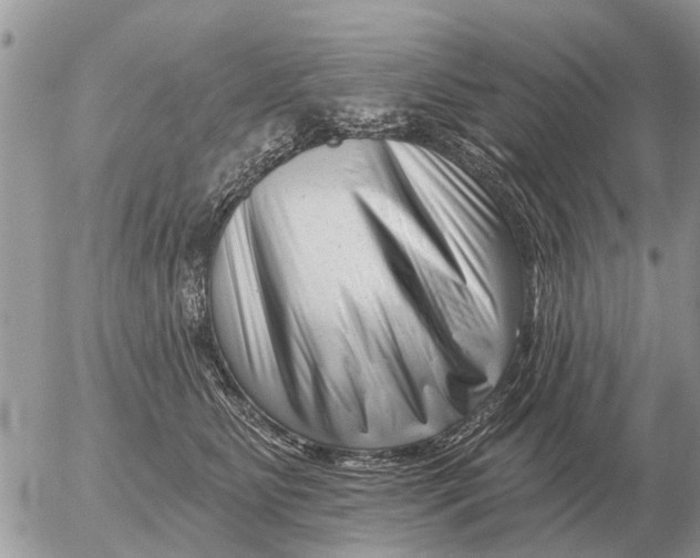 X0000054440515200508270016