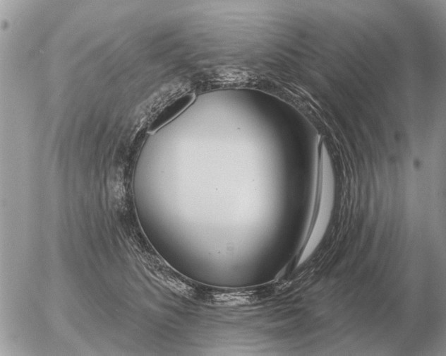 X0000054440516200508270016