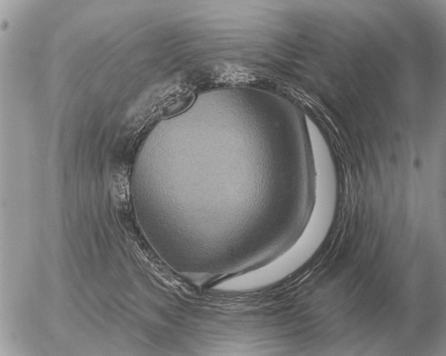 X0000054440517200508270016