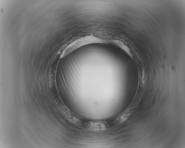 X0000054440520200508270016