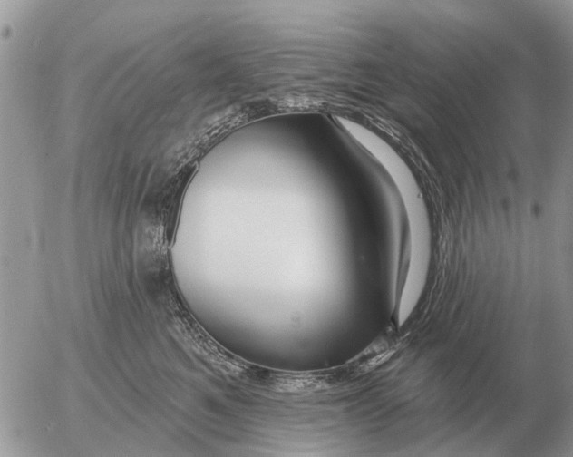 X0000054440521200508270016