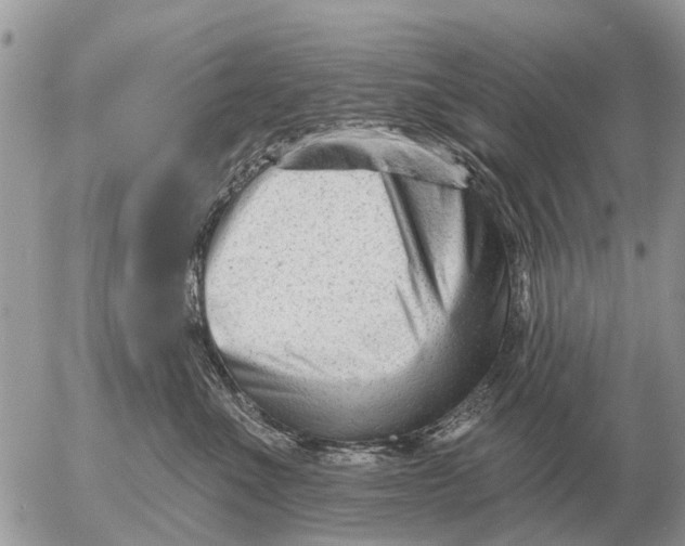 X0000054440523200508270016