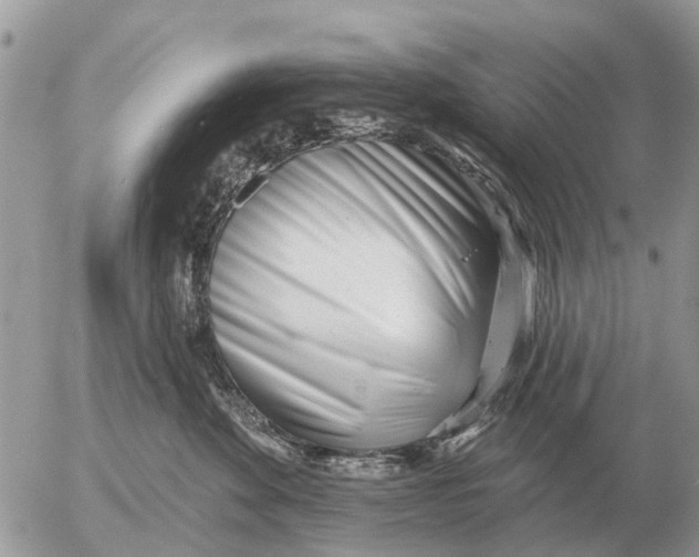 X0000054440524200508270016