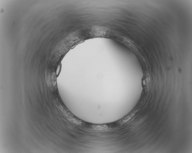 X0000054440525200508270016