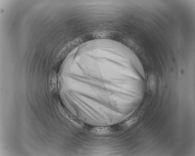 X0000054440526200508270016