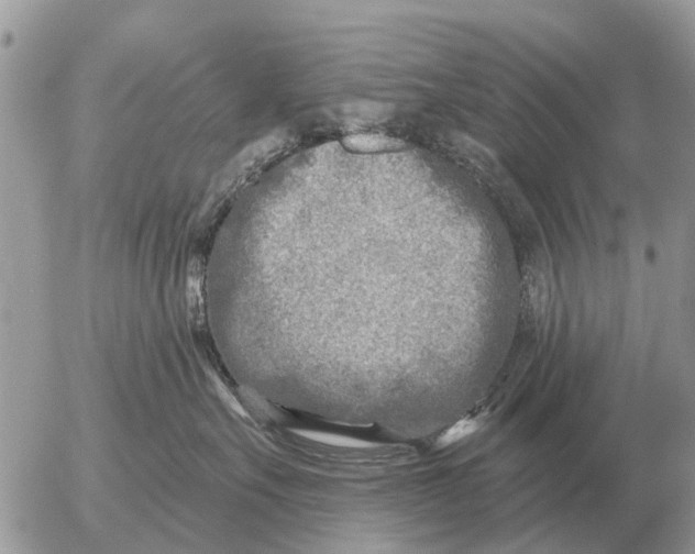 X0000054440527200508270016