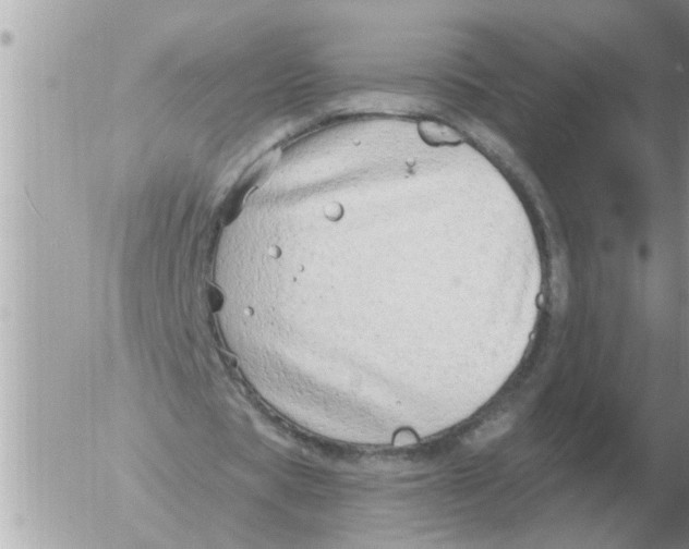 X0000054440529200508270015