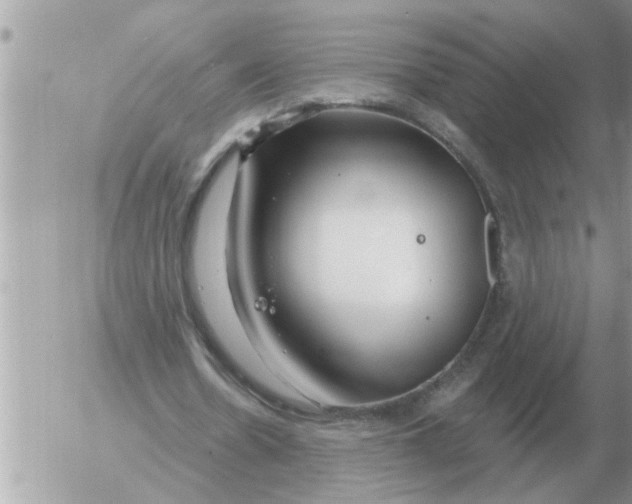 X0000054440530200508270015