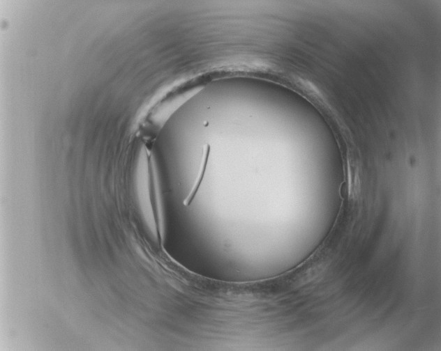 X0000054440531200508270015