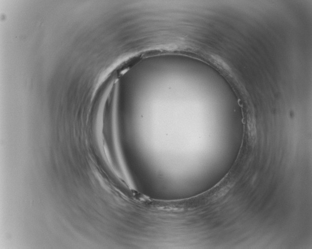 X0000054440532200508270015