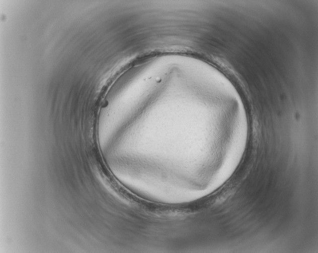 X0000054440533200508270015