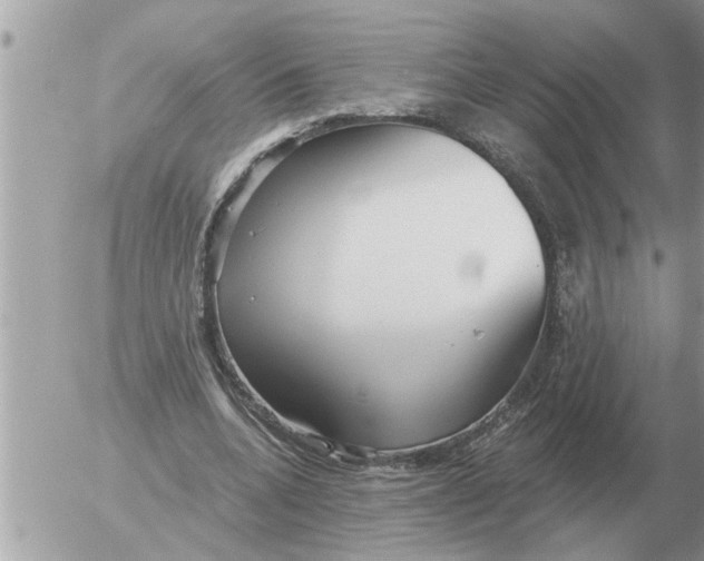 X0000054440536200508270015