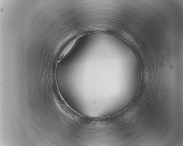 X0000054440538200508270015