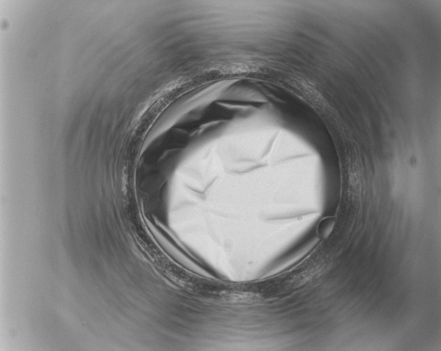 X0000054440539200508270015