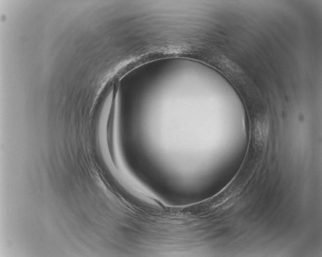 X0000054440540200508270015