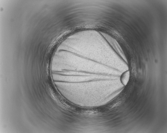 X0000054440542200508270015