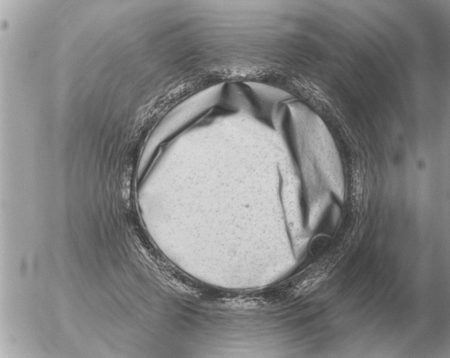 X0000054440545200508270015