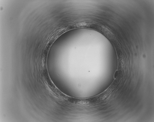 X0000054440546200508270015