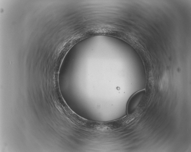 X0000054440547200508270015