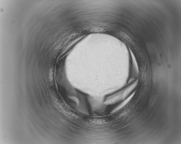 X0000054440549200508270015