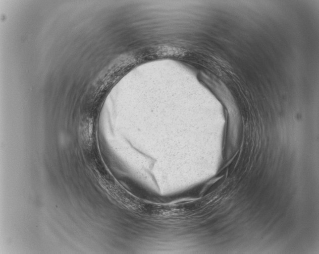 X0000054440550200508270015