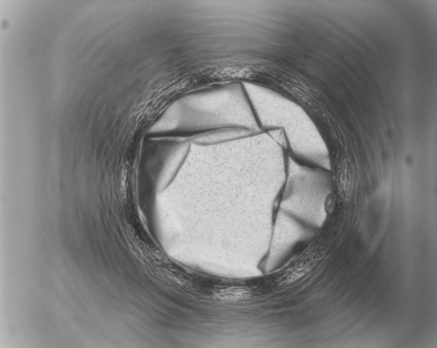 X0000054440551200508270015