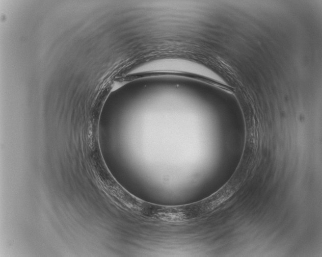 X0000054440552200508270015