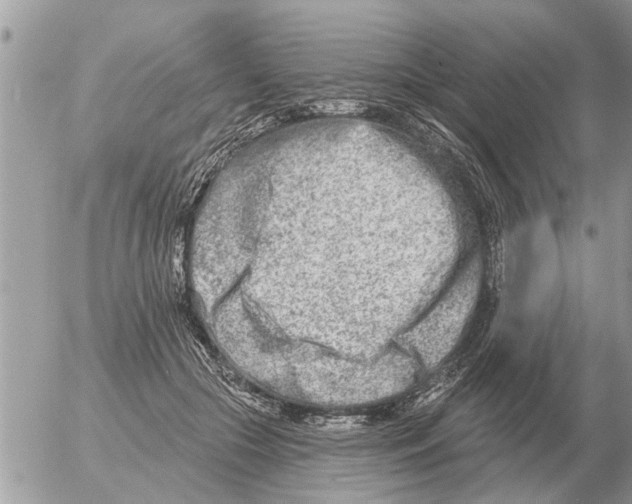 X0000054440553200508270015