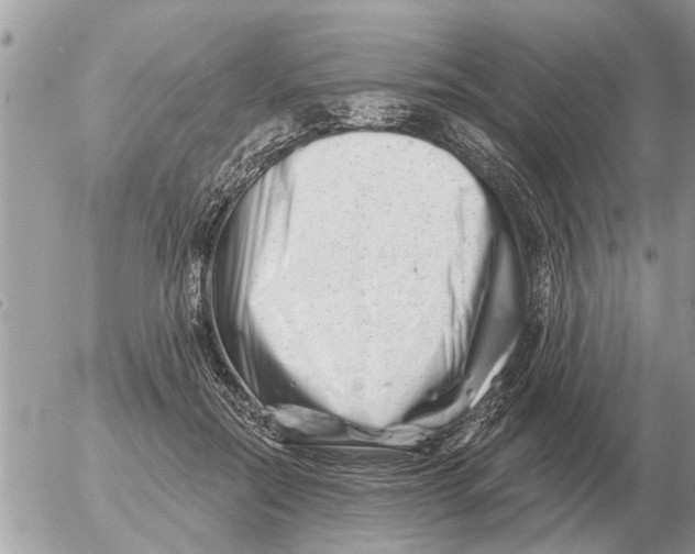 X0000054440554200508270015