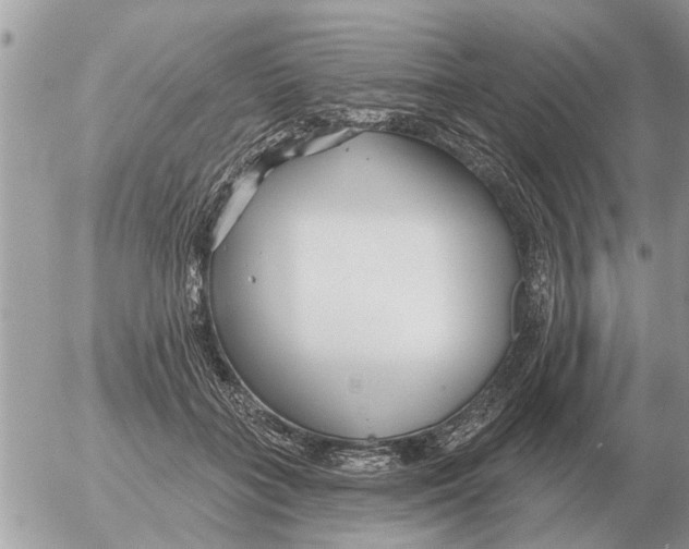 X0000054440555200508270015