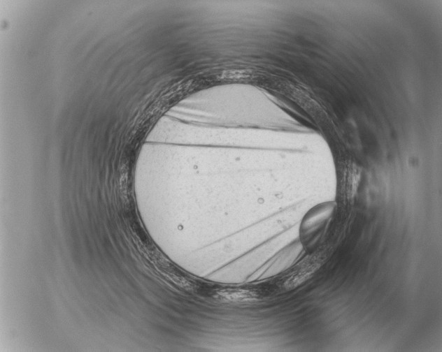 X0000054440557200508270015