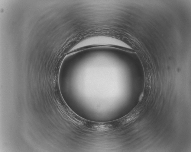 X0000054440558200508270015